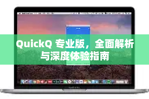 QuickQ 专业版，全面解析与深度体验指南